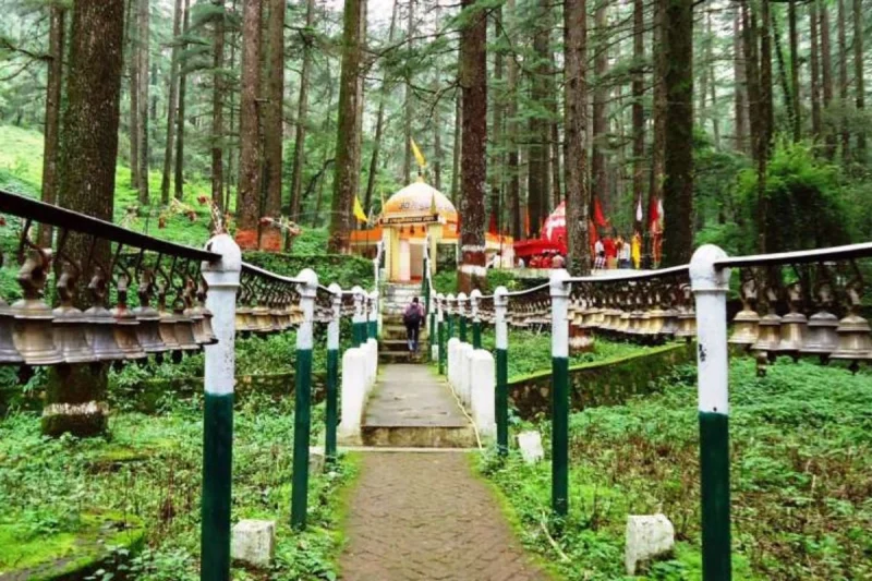 Lansdowne Hill Station Tour Package